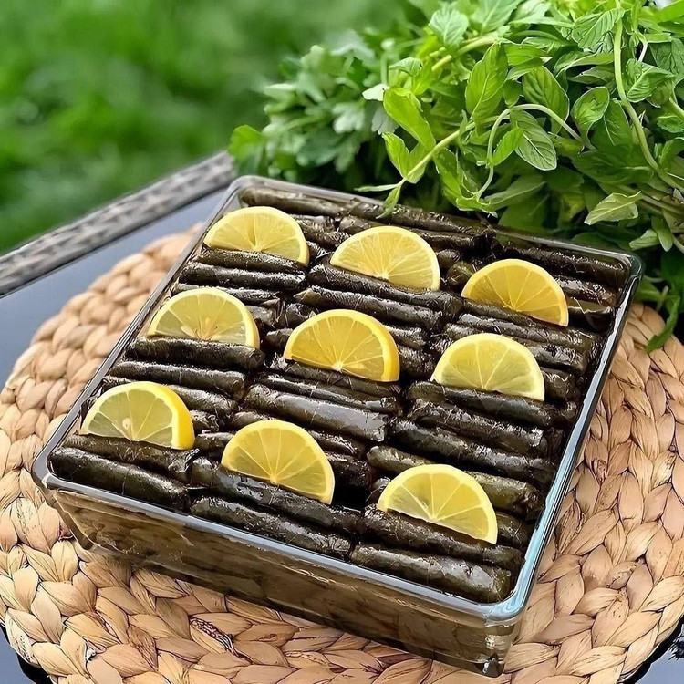 تابه های برجام مدل مربع و مستطیل
